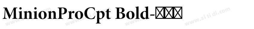 MinionProCpt Bold字体转换